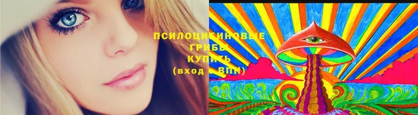 прущий лед Новозыбков