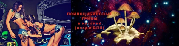 прущий лед Новозыбков