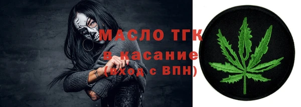 прущий лед Новозыбков