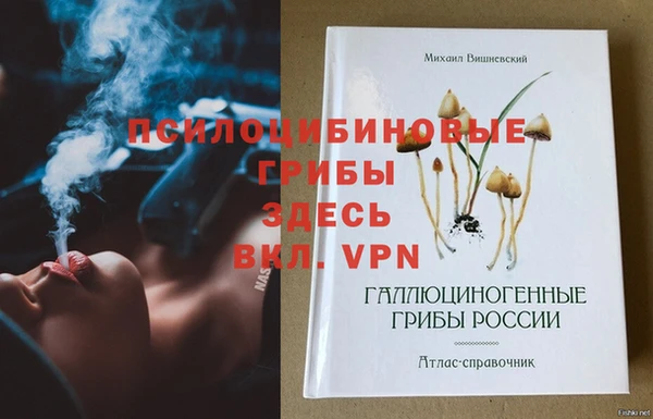 2c-b Новодвинск