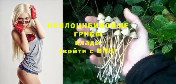 прущий лед Новозыбков