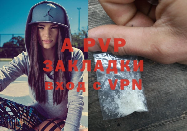 прущий лед Новозыбков