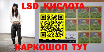 прущие грибы Кандалакша