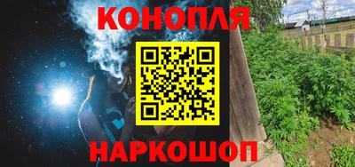 прущие грибы Кандалакша