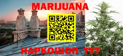 прущие грибы Кандалакша
