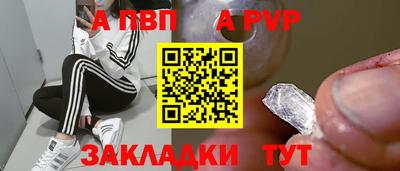 прущие грибы Кандалакша