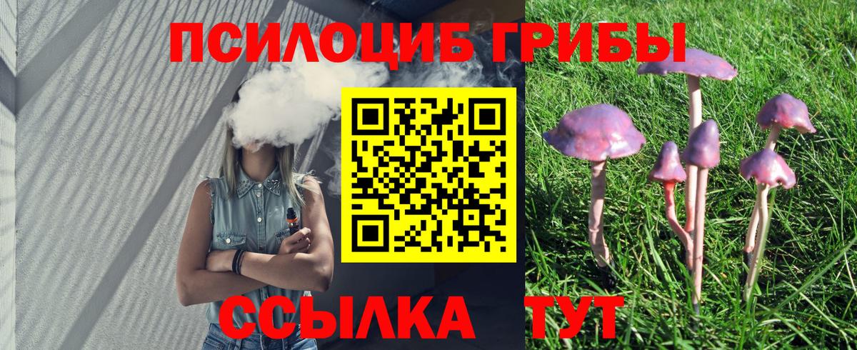 Псилоцибиновые грибы мицелий Нижний Новгород
