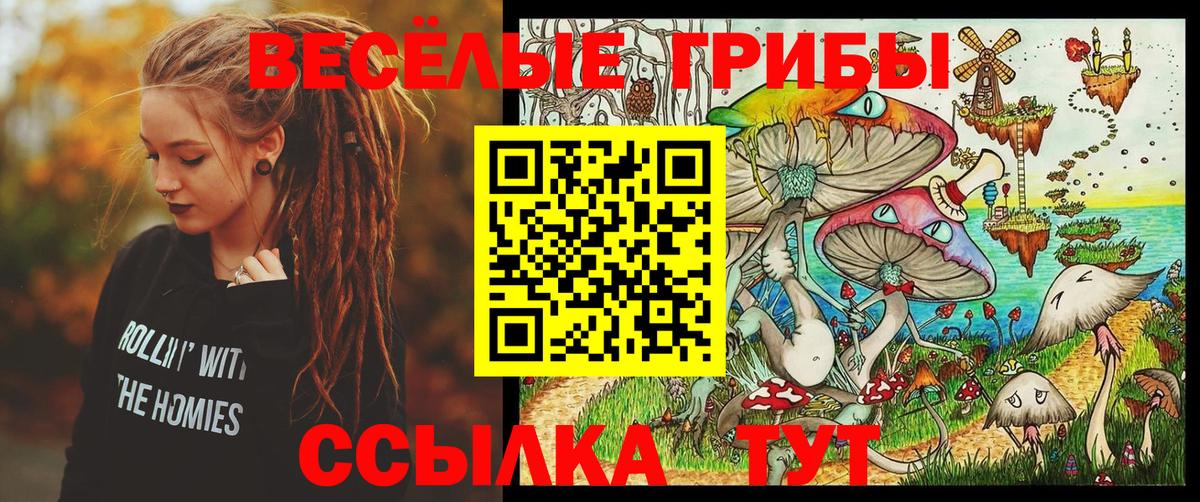 Псилоцибиновые грибы прущие грибы  Вход с VPN  Нижний Новгород 